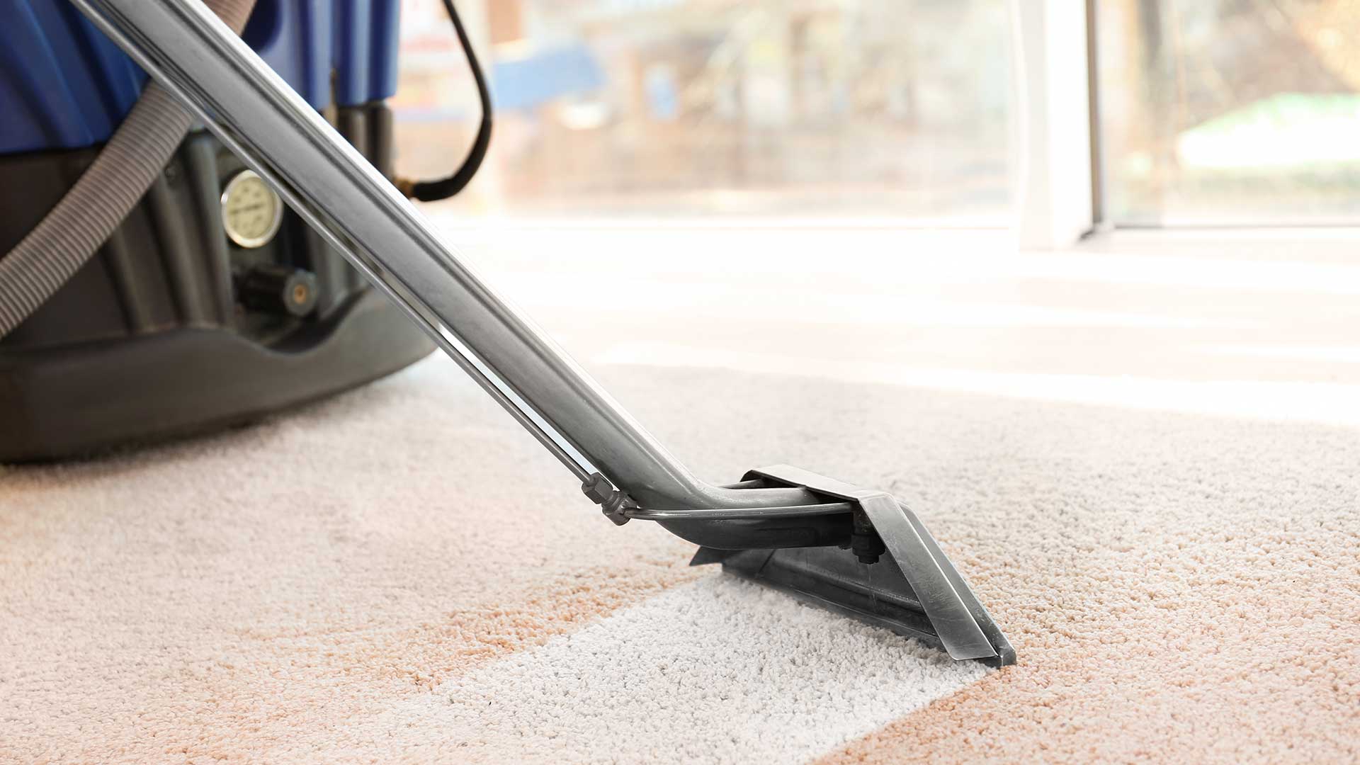 Carpet Commercial Cleaning Services Odor Removal Lutz