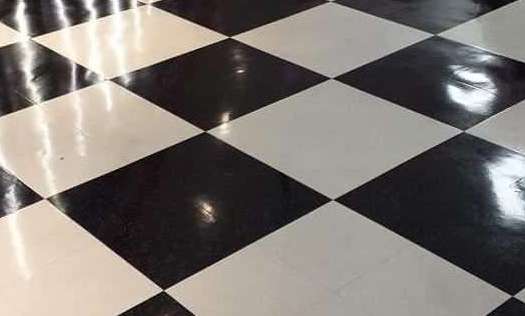 Carpet Commercial Cleaning Services Odor Removal Lutz