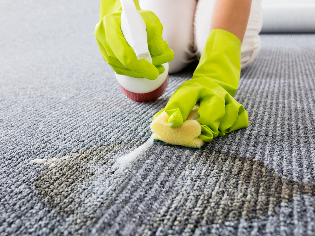 Premium Carpet Cleaning Service In Madison Wisconsin How To Clean Carpet Natural Carpet Cleaning Carpet Cleaning Service